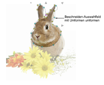 CropArtwork2.png