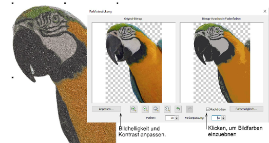 ColorPhotoStitchPecanPreview2.png