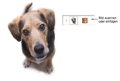 PhotoStitch1.png