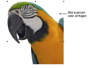 auto-digitize_photos00025.png