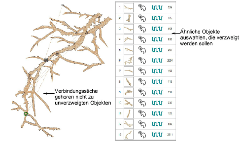 Branching1.png