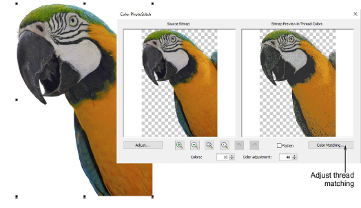ColorPhotoStitchPecan00035.png