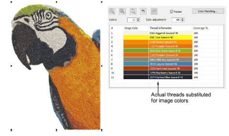ColorPhotoStitchPecanPreview5.png