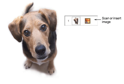 PhotoStitch1.png