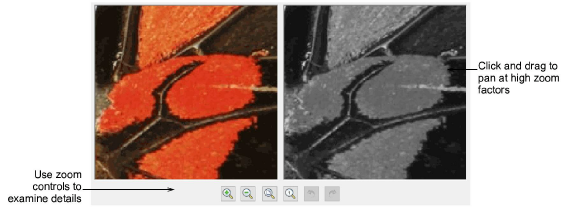 ReefPhotoStitchPreview.png