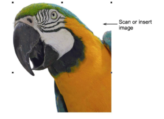 auto-digitize_photos00025.png