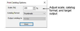 PrintCatalogOptions.png