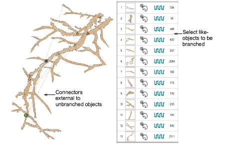 Branching1.png