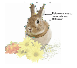 CropArtwork2.png