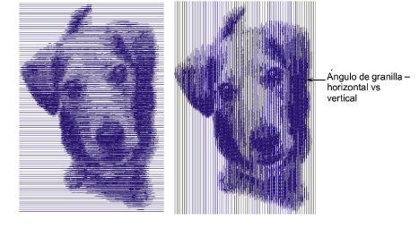 PhotoFlashGrain.png