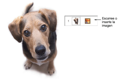 PhotoStitch1.png