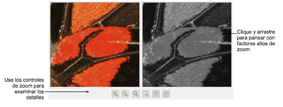 ReefPhotoStitchPreview.png