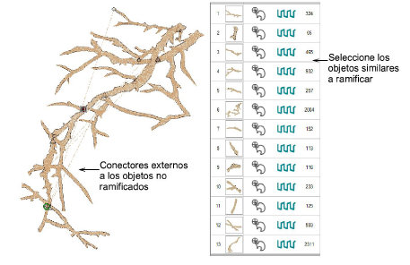 Branching1.png