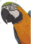 ColorPhotoStitchPecanPreview4.png