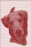 PhotoStitch6.png