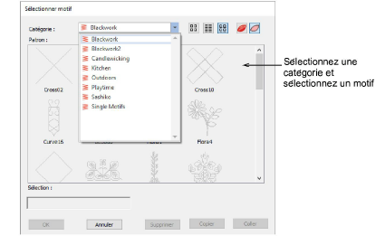 SelectMotif.png