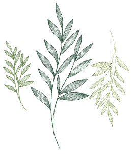 ContourStitchSample.png