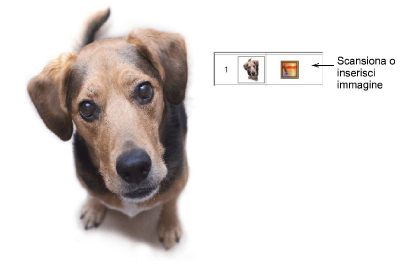 PhotoStitch1.png