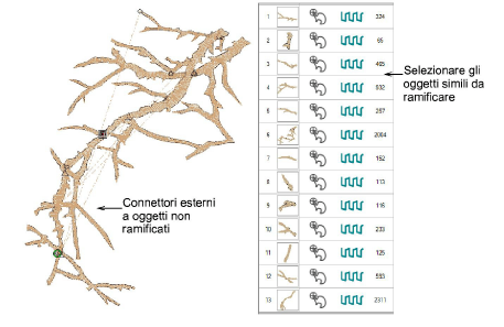 Branching1.png