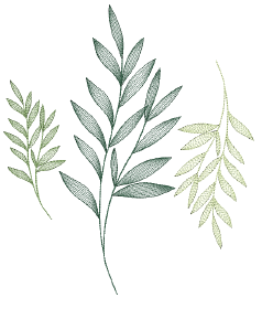 ContourStitchSample.png