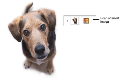 PhotoStitch1.png