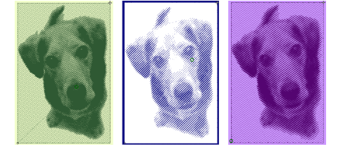 PhotoStitchSamples1.png