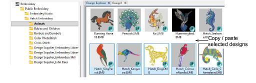 CopyPasteDesigns1.png