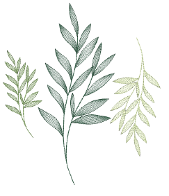 ContourStitchSample.png